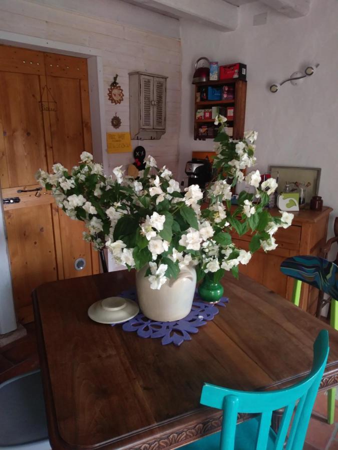 Poggio Del Sole Bed & Breakfast Bassano del Grappa Ngoại thất bức ảnh