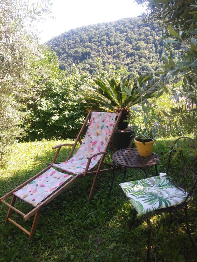 Poggio Del Sole Bed & Breakfast Bassano del Grappa Ngoại thất bức ảnh